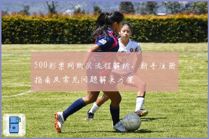 500彩票网购买流程解析，新手注册指南及常见问题解决方案