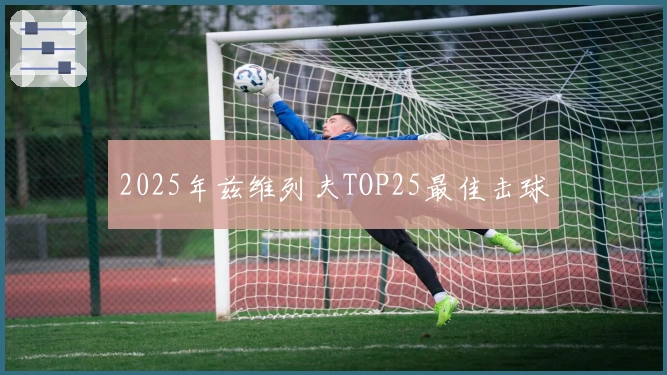 2025年兹维列夫TOP25最佳击球